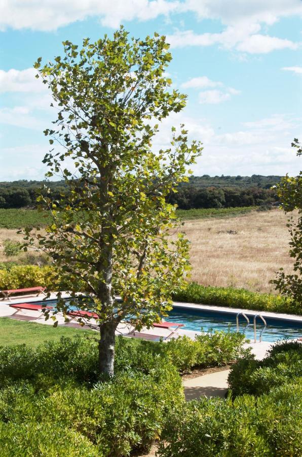 Village Castigno - Wine Hotel & Resort Assignan Εξωτερικό φωτογραφία
